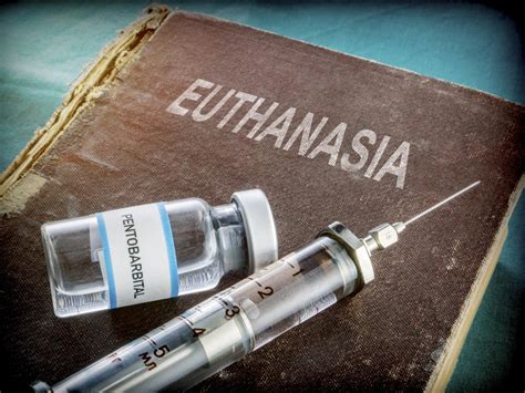 what is meant by euthanasia debate